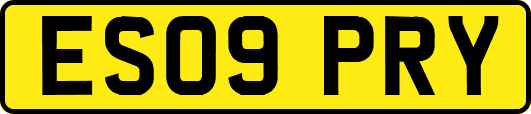 ES09PRY