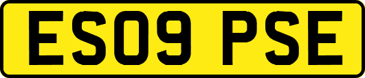 ES09PSE