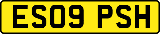ES09PSH
