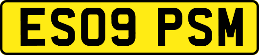 ES09PSM