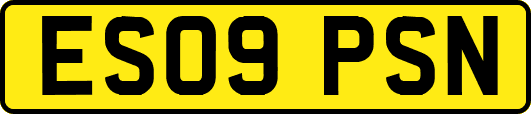 ES09PSN