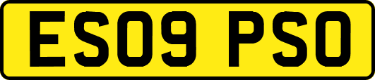 ES09PSO
