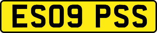 ES09PSS