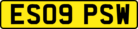 ES09PSW
