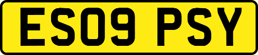 ES09PSY