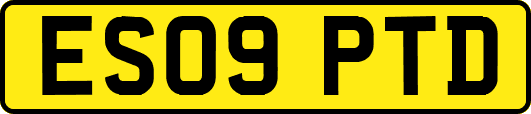 ES09PTD