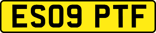 ES09PTF