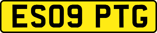 ES09PTG