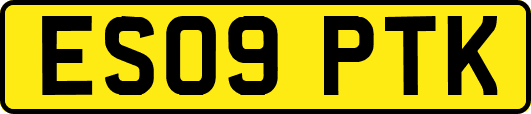 ES09PTK
