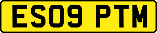ES09PTM