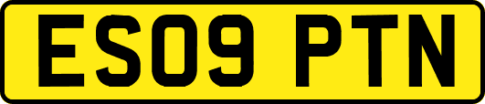 ES09PTN
