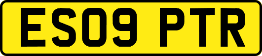 ES09PTR