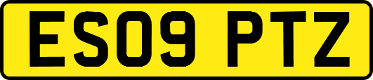 ES09PTZ