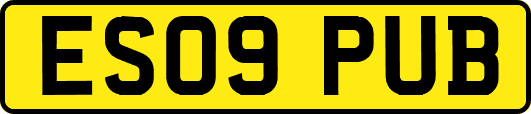 ES09PUB