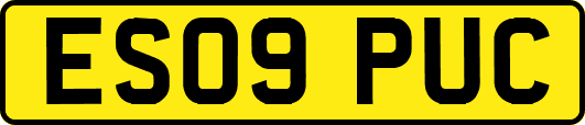 ES09PUC