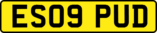 ES09PUD