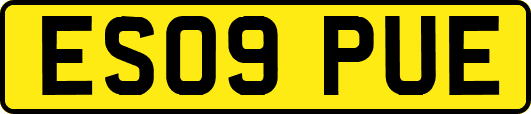 ES09PUE