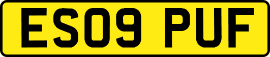 ES09PUF