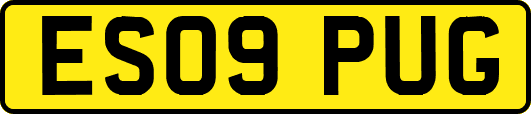 ES09PUG