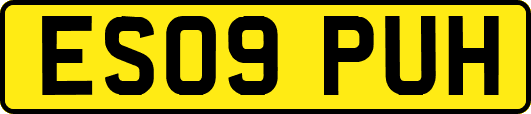 ES09PUH