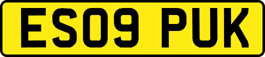 ES09PUK