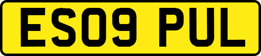 ES09PUL