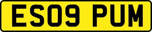 ES09PUM