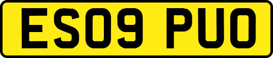 ES09PUO