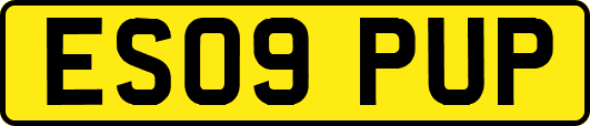 ES09PUP