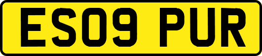 ES09PUR