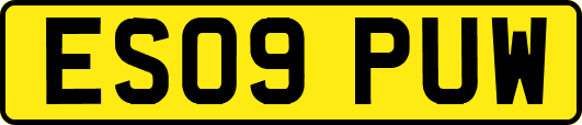 ES09PUW
