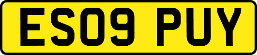 ES09PUY