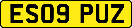 ES09PUZ