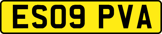 ES09PVA