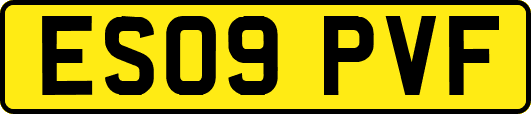 ES09PVF