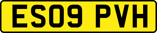 ES09PVH