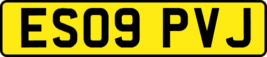 ES09PVJ