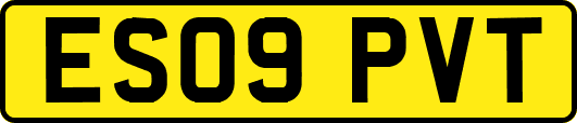 ES09PVT
