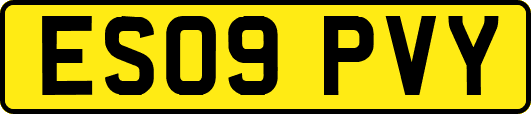 ES09PVY