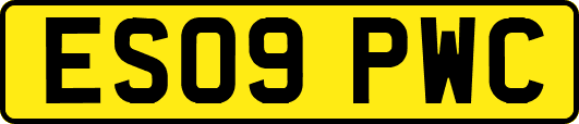 ES09PWC