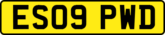 ES09PWD