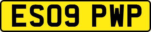 ES09PWP
