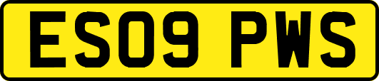 ES09PWS