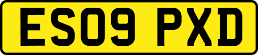 ES09PXD