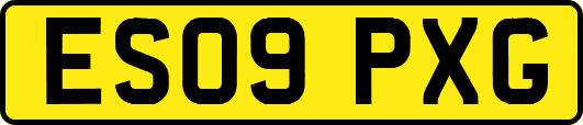 ES09PXG