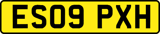 ES09PXH