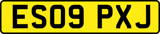 ES09PXJ