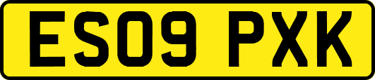 ES09PXK