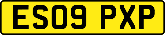 ES09PXP