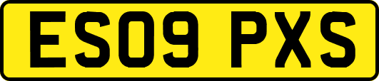 ES09PXS